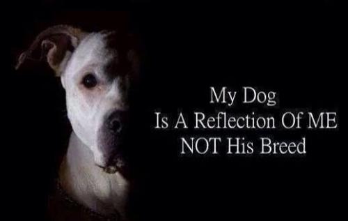 98dae2749e13e9196bb5e82f527b7166