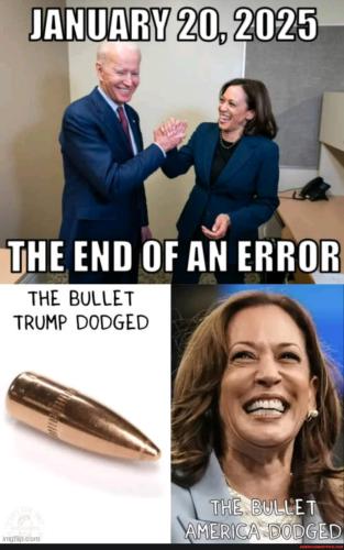 2f993a8733fd49a9cc54c78f773bec95801dd2fc7a1571b3e28b05cc54a14486_1