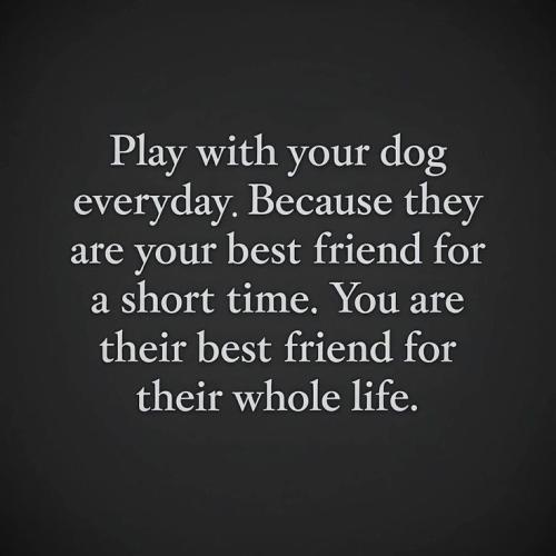 464f7cdd6e6a1fa8e908b8d7a6c0b4f4