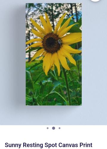 Screenshot_20241227_162548_Brave