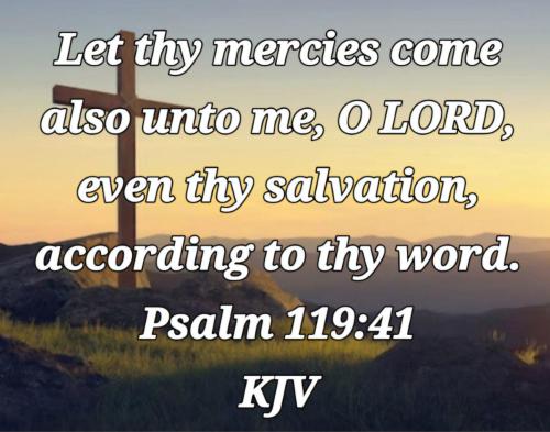 e3ace7fb-5315-443b-b747-0bad40169693