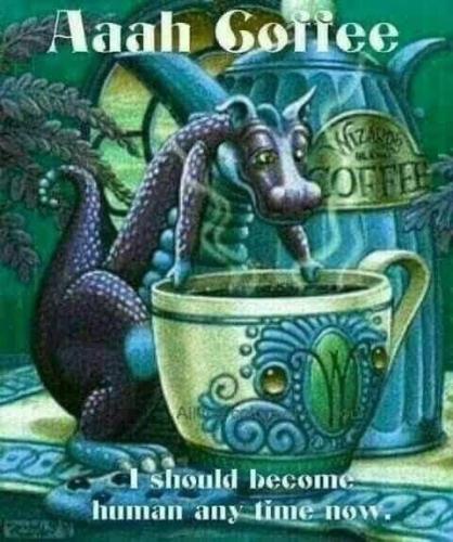 414975147_1054799402488237_6815400994466879909_n