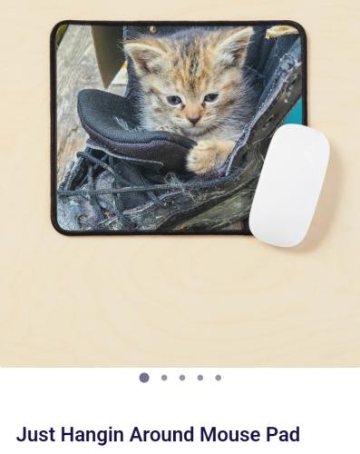 Screenshot_20241226_182609_Brave