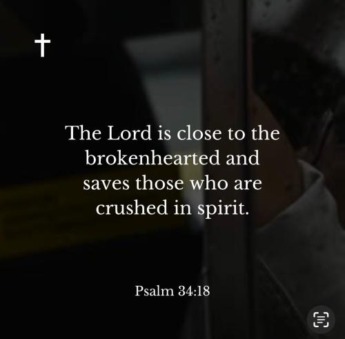 bfb9c5ca-533b-43e8-b29d-258df8c1cbca