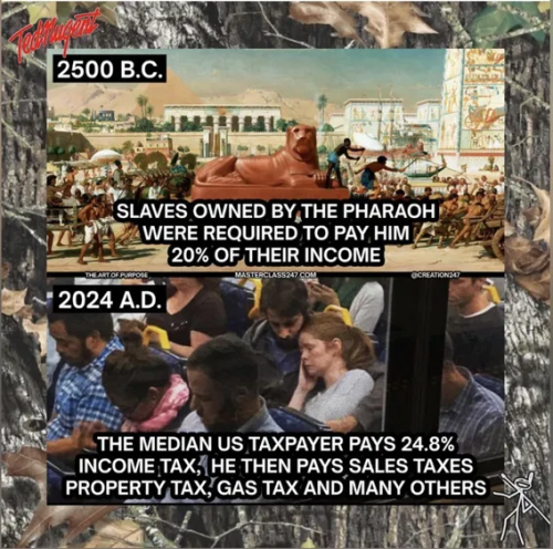 image_2024-12-01_092538120