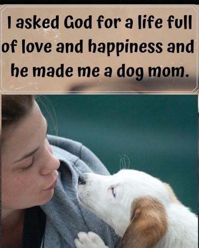 asked-god-life-full-love-and-happiness-and-he-made-dog-mom
