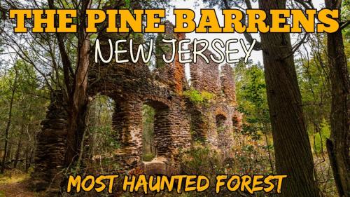 Pine Barrens, New Jersey 1