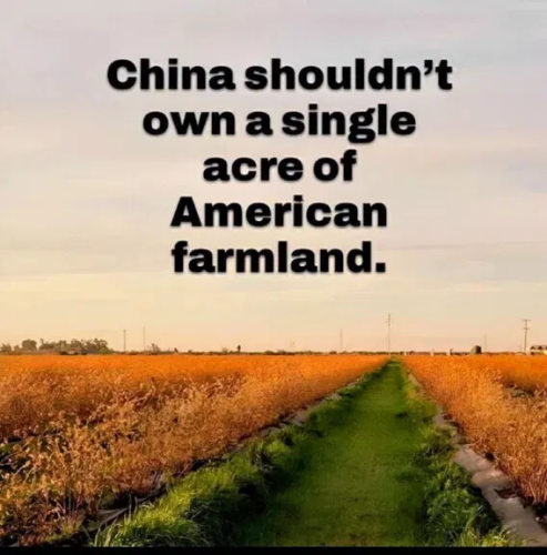 image_2024-12-10_065004711