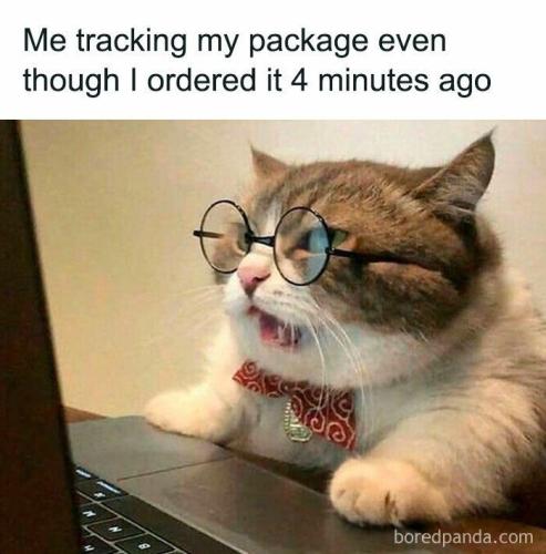 0c5fba6758aede8527b19e15ce2413d0