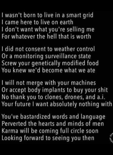 photo_2024-12-05_22-52-36