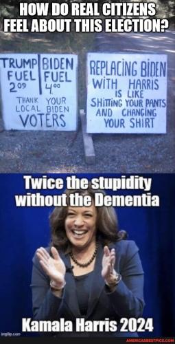 11451374ef0acb0af533a14fafb57b4c2d1cb96c1a36737c792a3322ea17ad5e_1