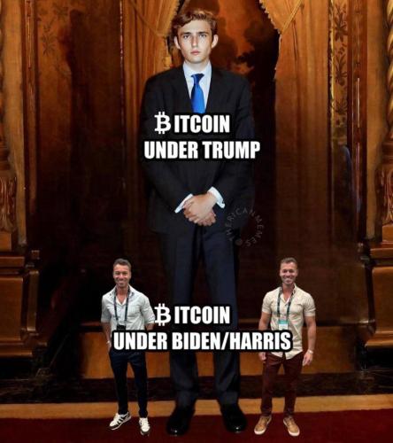 photo_2024-12-05_22-07-29