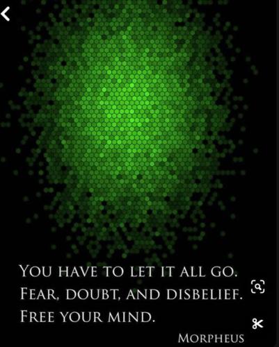 470032046_529159310100163_7857080932042546635_n