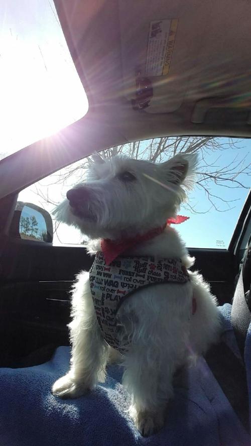 18:57:44 GMT-0600 (CST)