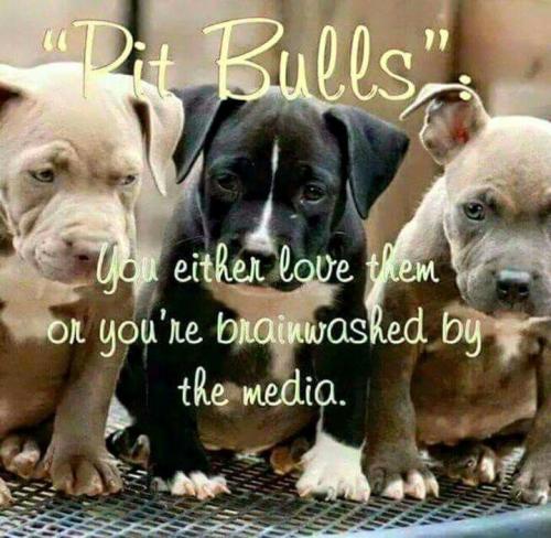 aac85bc98d54fa72dcb8dac03ec92c1d