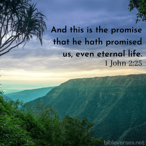 1-john-2-25