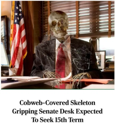 image_2024-12-20_063149150