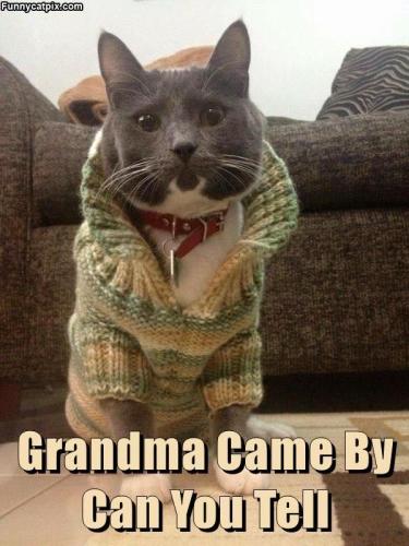 ec7a6736a4287f55c371bbac7c790a91