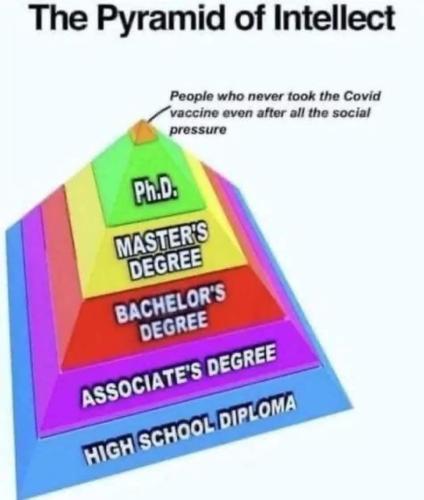 image_683A1555-E084-4E5E-8F82-AFD6335DDBFD