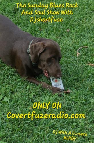 Screenshot_20241229_072003_Gallery