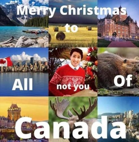 photo_2024-12-22_13-55-18