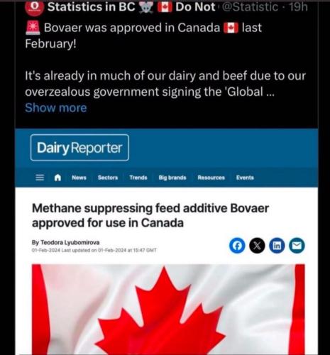 photo_2024-12-03_21-01-43