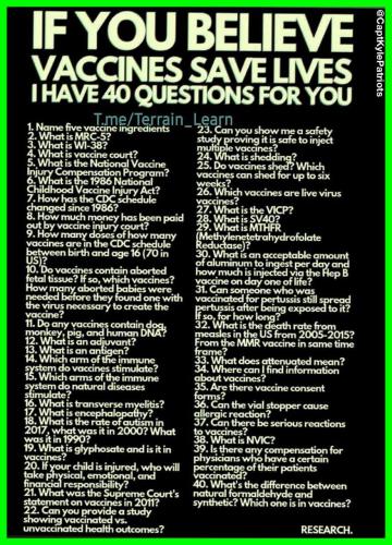 IMG_20241228_113141_383