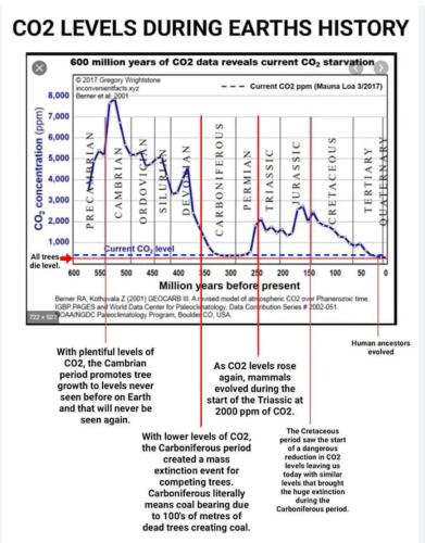 CO2 History Levels