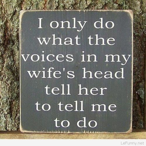 image_4A61723E-0BF0-4C71-A614-32FE7A1594AC