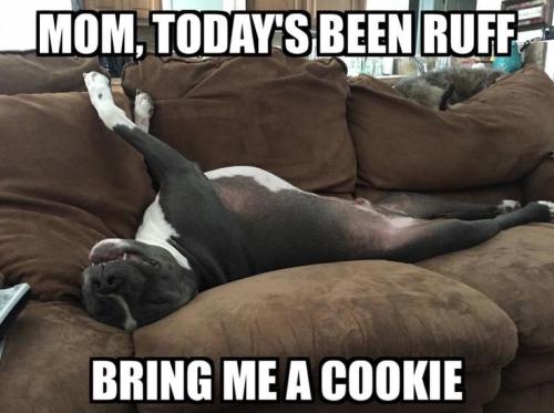 1306083b9b68142e71b4caa4c42647ad