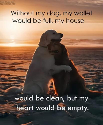 FB_IMG_1735511202036