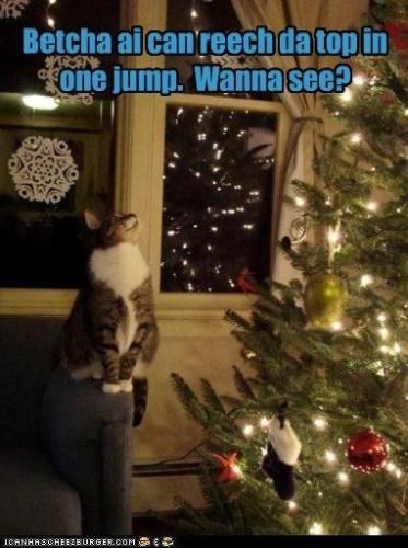 meme-christmas-betcha-aicanreechda-topin-one-jump-wanna-see-canhaschee2eurger-com