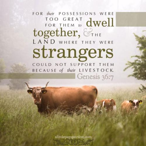 gen-36-7-unsplash-9x-768x768