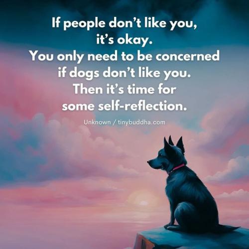 b76f4fe722fca3058a9ea3b14ac70360