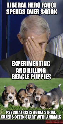 39631346d9258cda736be1387ac0fec4df57d148ce1520e1334f89d3ecfa0a45_1