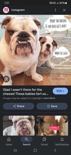 Screenshot_20241231_072144_Google