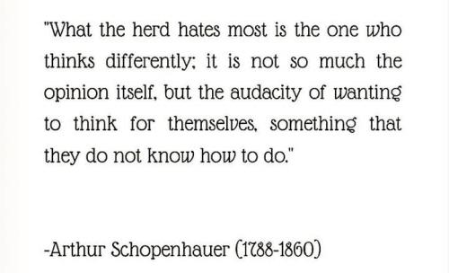 Screenshot_2024-12-08-11-32-09-70_1c337646f29875672b5a61192b9010f9