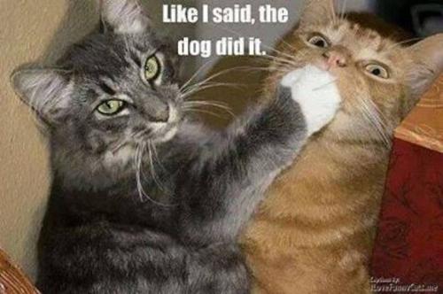 fcbff5b45f72021d816f0dbfcd8faa07