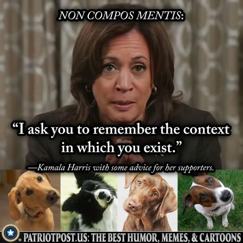 01JFT6DAGDGBNXTRAXMB17EDJ3