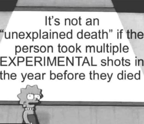 photo_2024-12-06_22-24-55