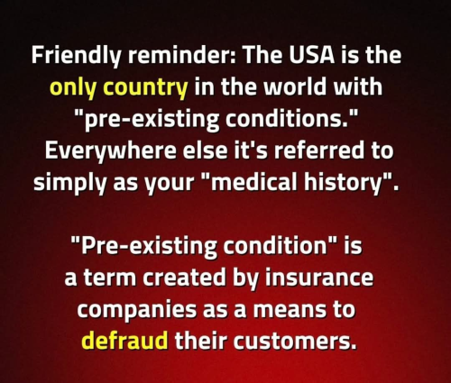 image_2024-12-12_065123489