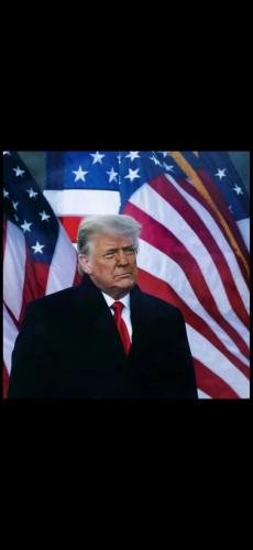 Screenshot_20241106_023125_Photos