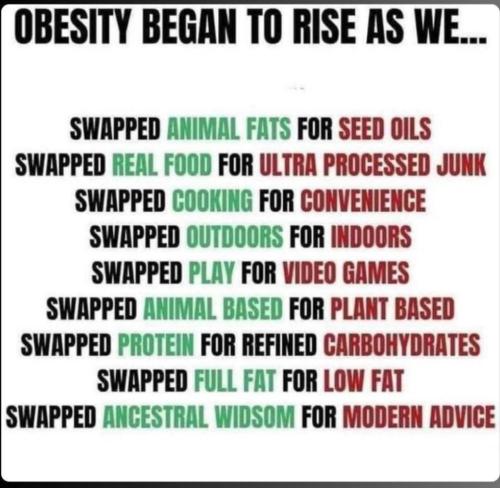 c4606f4f-9b49-48e9-8c9e-9205fd488566