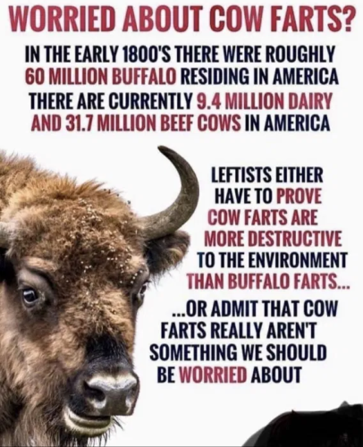 image_2024-12-10_064609752