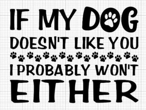 71429ccd077fff0024c9b75806e9052e