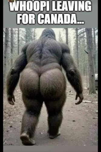 df4dfdd2-e838-4950-ba0c-9807270d10ae