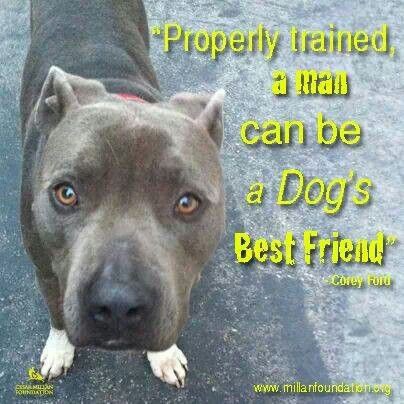 c00130a9cecbafe9230884b1b86674dc