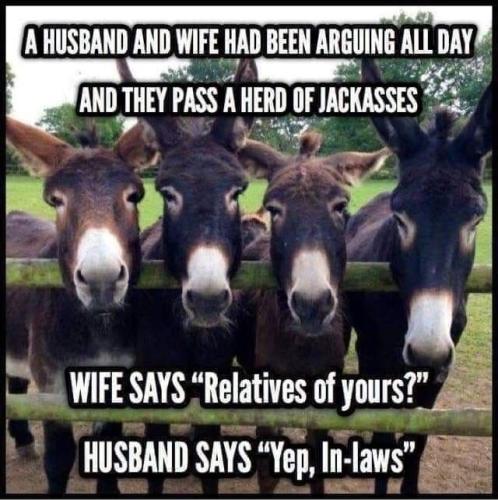 abcd8c14-bcbc-4ab9-8d3f-c47d711a388d