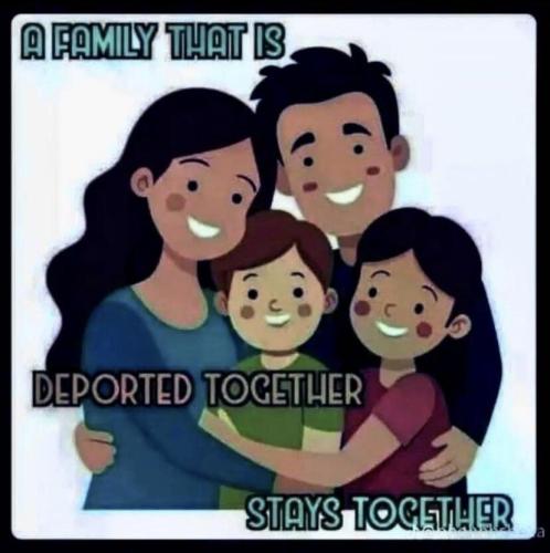 image_BF301401-08D8-469E-9F7A-F4BFA4E96D2F