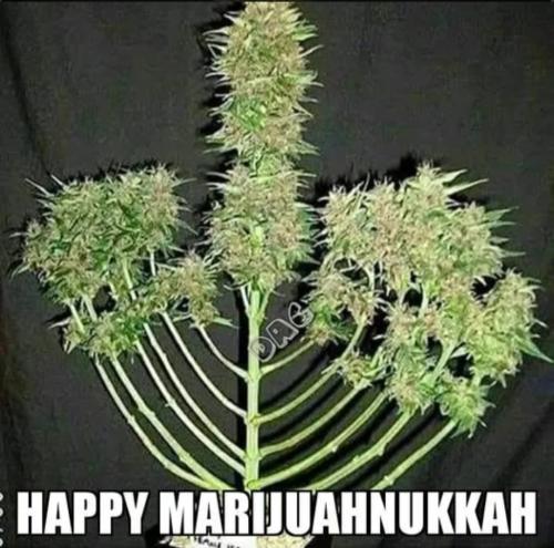 Screenshot_20241222-171736_Brave